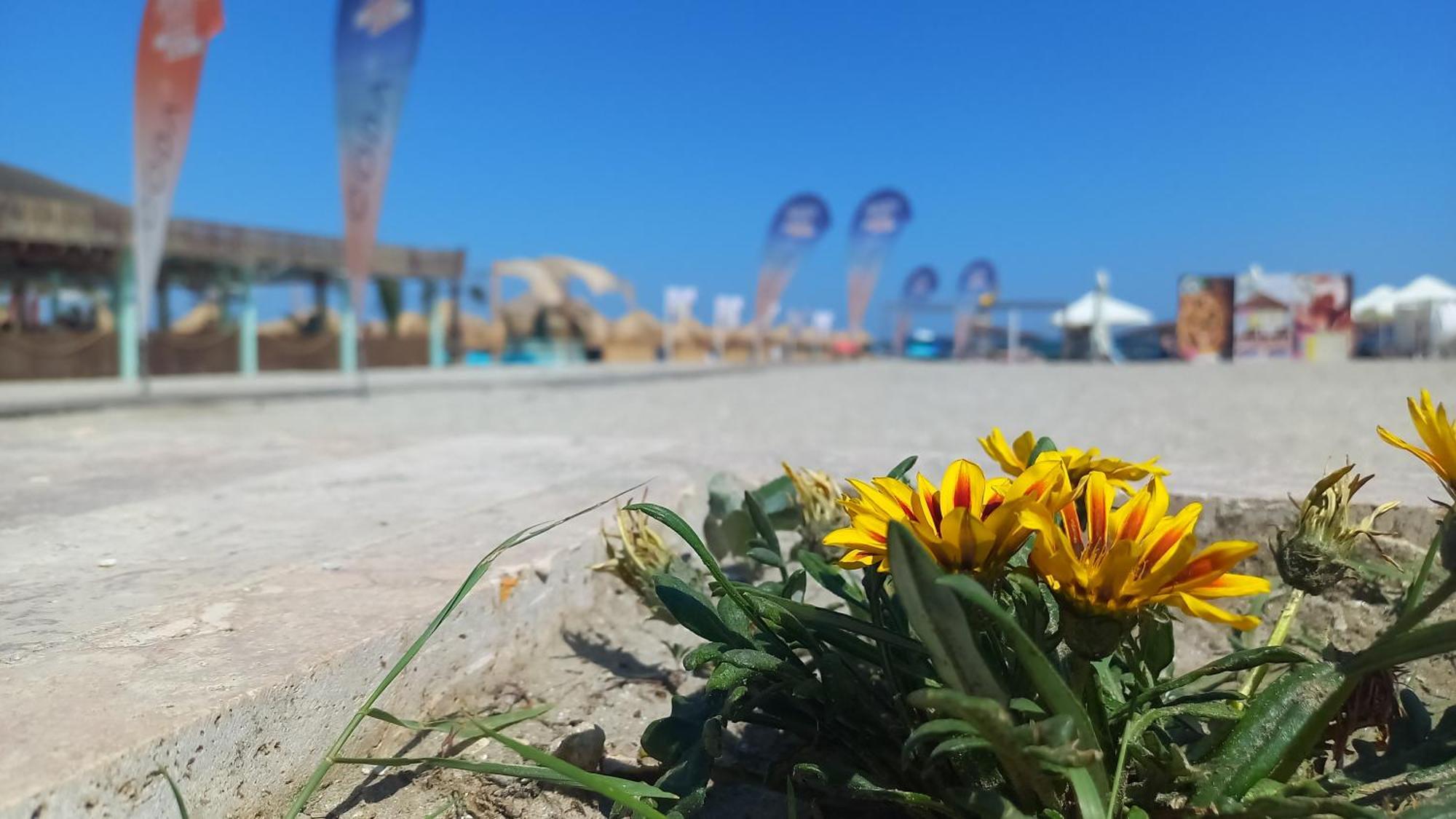 Luxury Promenada Apartment - Frontal Beachfront Mamaia Nord Неводарі Екстер'єр фото